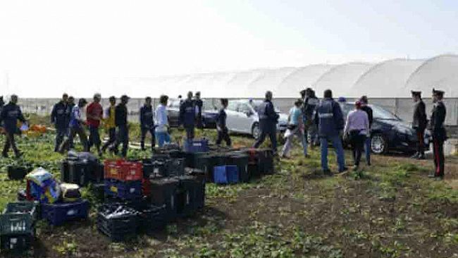 Trapani, facevano lavorare 17 senegalesi in nero per poco più di 3 euro l’ora, denunciati