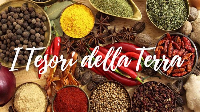 Benvenuto nella famiglia di Prima Pagina ad “I Tesori della Terra”