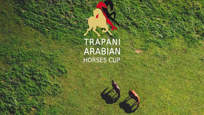 Dopo Palermo, un altro grande show dedicato ai cavalli arabi in Sicilia