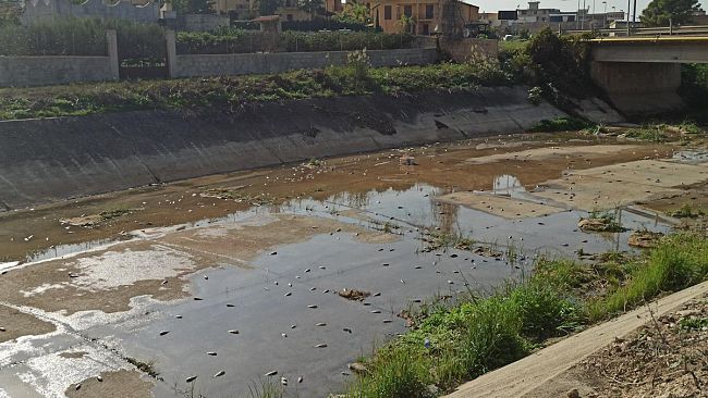 Paceco, migliaia di pesci morti dopo l’apertura delle paratie della diga