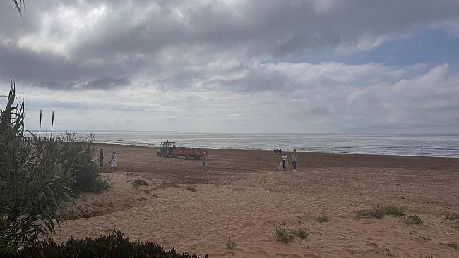 domani-nuova-giornata-di-pulizia-della-spiaggia-di-tre-fontane