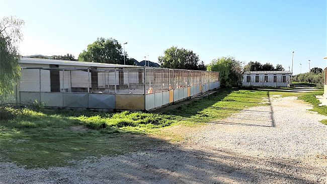 Marsala, ottimi risultati con la nuova gestione del canile comunale 