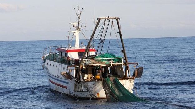 La Guardia Costiera di Olbia sequestra oltre 150 kg di gambero rosso e viola a peschereccio di Mazara del Vallo 