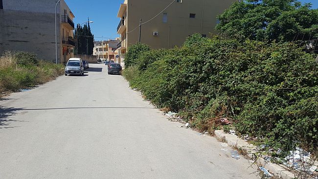 Interrogazione Consigliere Foggia riguardante la necessità di interventi urgenti per la diserbaturavia in via Giovanni de Sineis e piazzale Europa.