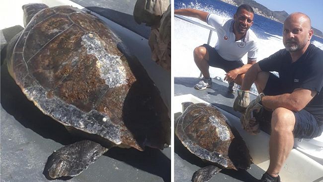 Recuperato a Favignana un esemplare vivo di tartaruga “Caretta Caretta” in difficoltà