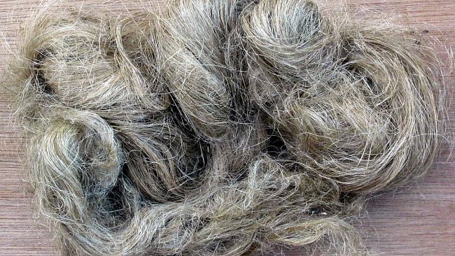 “Detti e stradetti”, modi di dire trapanesi: « Essiri como u scarvacchio ‘na stuppa»