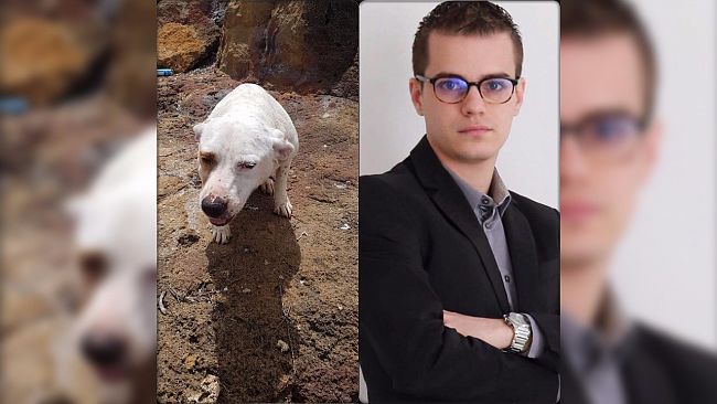 Valderice, getta il cane in mare con una pietra al collo. Rizzi: “Chiediamo il massimo della condanna e la confisca dell’animale”