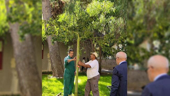 Trapani, il Kiwanis Club - Saturno pianta un albero alla scuola 