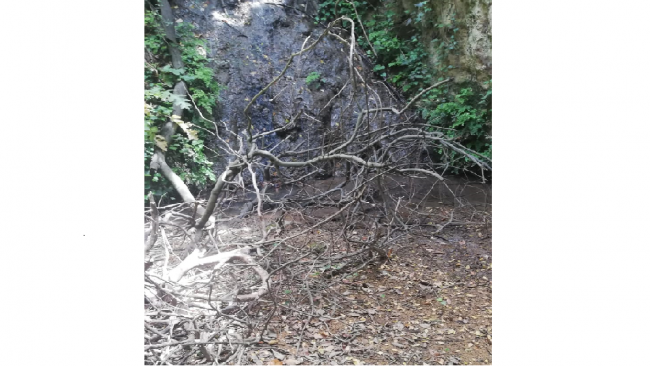 Monito del Partito democratico di Partanna sul rischio incendi