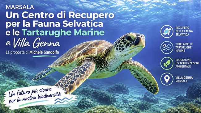 marsala-un-centro-per-la-fauna-selvatica-e-le-tartarughe-marine-a-villa-genna-la-proposta-in-aula-del-cons-gandolfo