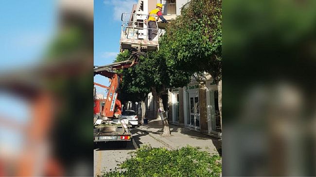 Marsala: Verde pubblico. Avviati i lavori di manutenzione