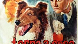 Torna a casa Lassie?