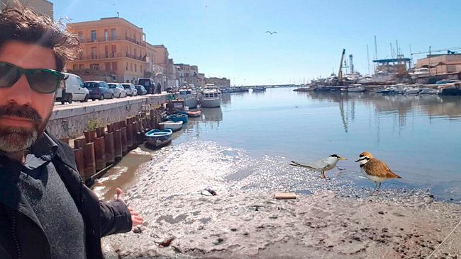 VIDEO – Mazara, isola di sabbia nel porto canale: una nuova riserva naturale?