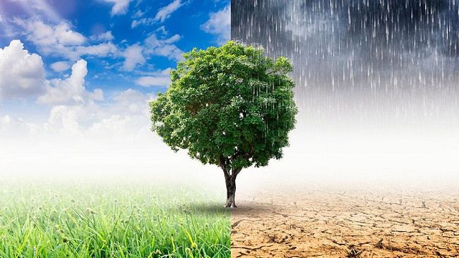 Emergenza clima. Il Bilancio del 2021 dell’Osservatorio Legambiente