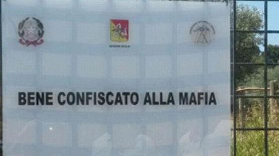 Mazara, sopralluogo Consorzio Trapanese per la Legalità e Sviluppo in terreno confiscato e utilizzato per coltivazioni