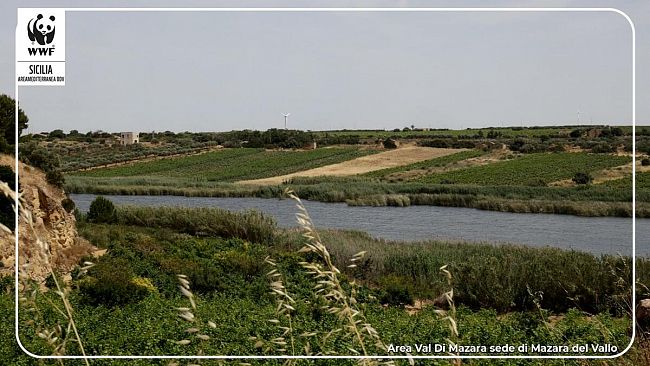 Festa delle Oasi WWF 2021, iniziative anche in città