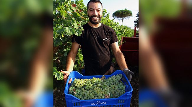 Una cantina trapanese alla conquista del mercato internazionale