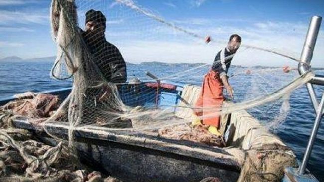 Pesca, promozione prodotti ittici. Scilla: 500 mila euro per aiutare il settore