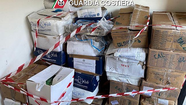 Immessi nel mercato 600 kg di prodotti ittici non destinati al consumo umano