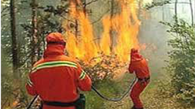 Chiusa la strada di Martogna ad Erice. I Canadair intervengono per un incendio