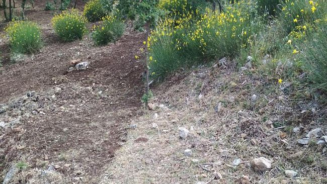 Oggi inizia il servizio antincendio in Sicilia. A breve anche i Forestali della manutenzione