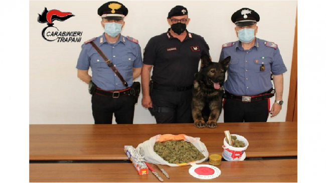 I Carabinieri e il cane Lego trovano 500 gr di marijuana: arrestato un 30 enne
