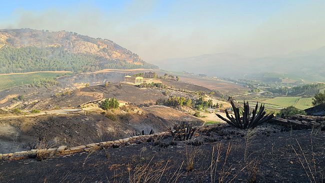Segesta rinasce dopo l'incendio. Prima domenica del mese a ingresso gratuito