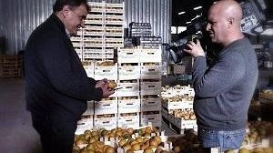 Marsala, le arance biologiche marsalesi in onda su Rai 1