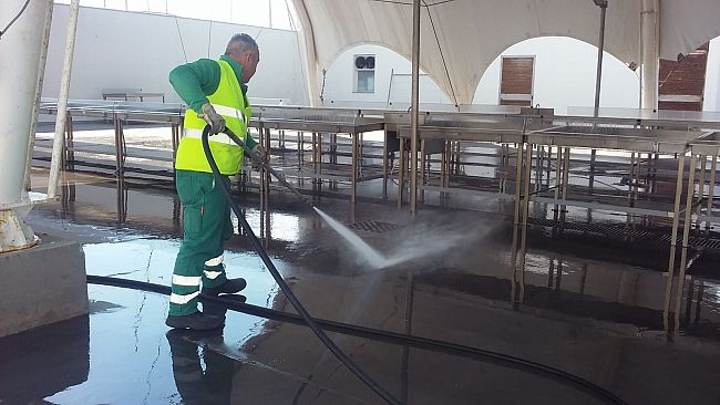 Trapani, domani riapre il Mercato Ittico