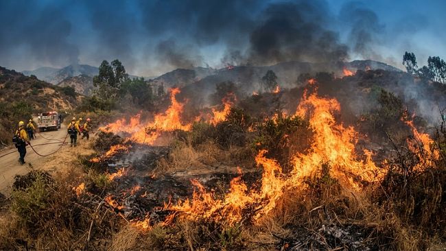 Rinnovabili e incendi: stretta sui controlli in Sicilia