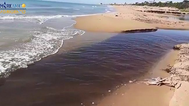 Corpo Forestale: controllo delle acque del Modione dopo la denuncia di Mareamico