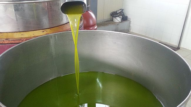 La siccità porta il costo dell'olio alle stelle. Qualita alta ma cala la produzione