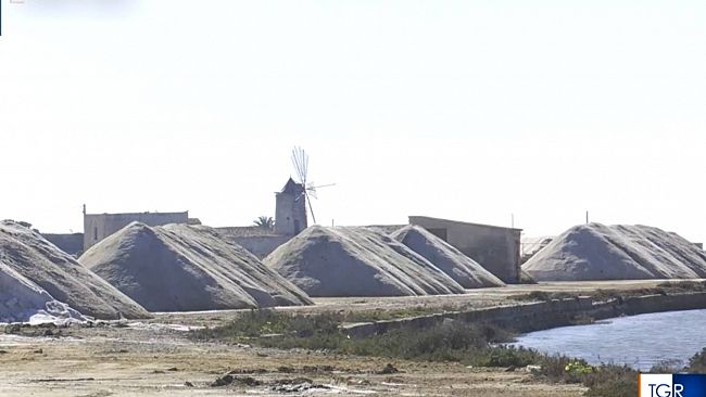 weekend-di-natura-e-biodiversita-tra-le-saline-e-il-cuore-di-trapani