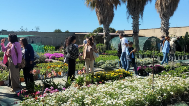 Mazara, Cooperativa Sociale Creativamente: al Vivaio “Il Melograno” la natura insegna l'inclusione