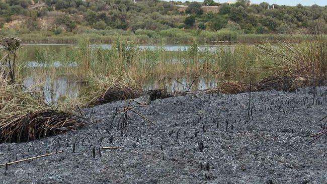 A fuoco la riserva Lago Preola e Gorghi Tondi: la matrice è dolosa