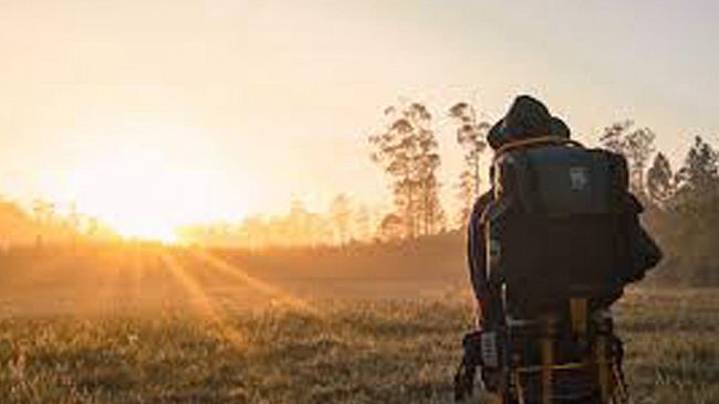 Ultime della sera, L’ingegnere!