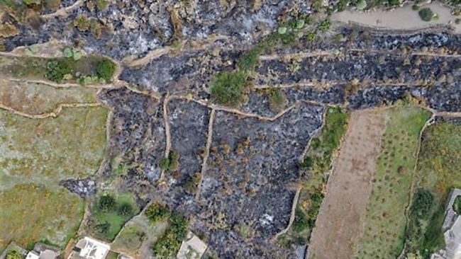 Pantelleria, appello del Parco sul rischio incendi: rispetto rigoroso delle regole per la bruciatura di residui colturali