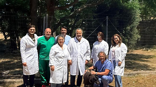 L’Asp Trapani lancia la campagna contro l’abbandono degli animali 