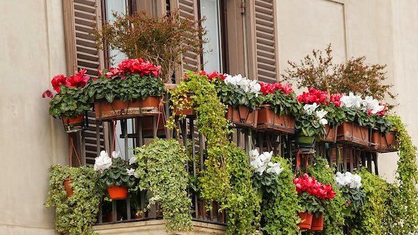 Mazara, su proposta di una cittadina nasce la