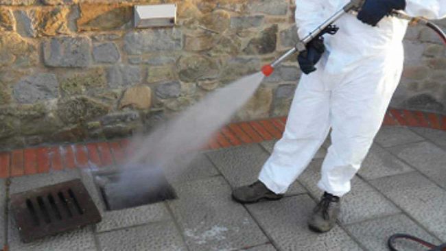 Mazara, Al via il 4° ciclo di derattizzazione del territorio