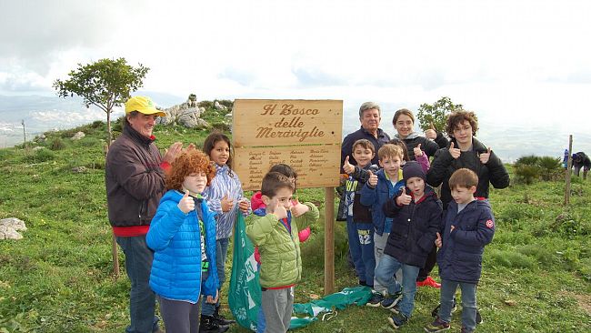 Erice, piantati 20 alberelli a Pizzo Corvo