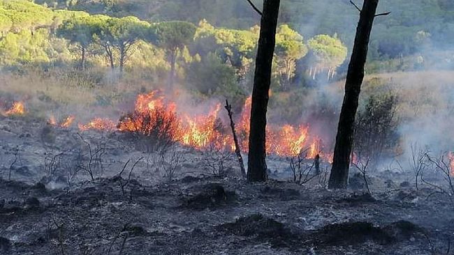 Sicilia. Campagna di prevenzione incendi in ritardo: