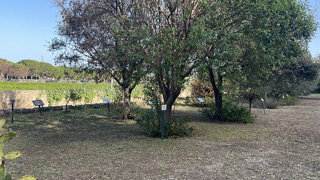 Assostampa Sicilia ricorda Mauro Rostagno nel giorno del suo omicidio