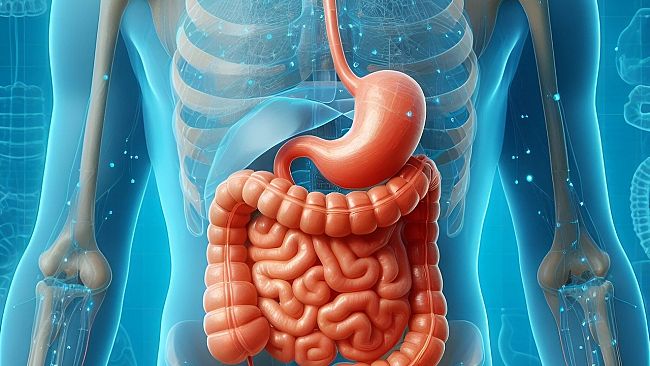 Benessere, osteopatia e disturbi gastrointestinali: un approccio integrato per il benessere digestivo