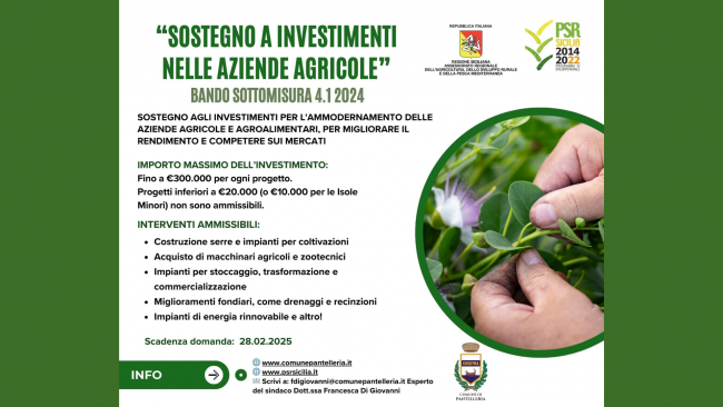 Pantelleria, pubblicato il bando sottomisura 4.1: sostegno fino al 50% per le aziende agricole 