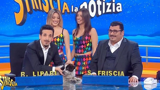  A striscia la notizia la cagnolina dell’Oasi ohana di S. Margherita