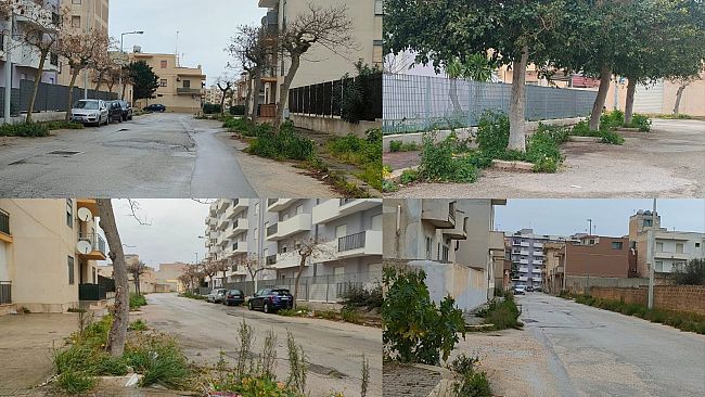 ​Mazara, ancora alta vegetazione selvaggia nella zona di via Potenza