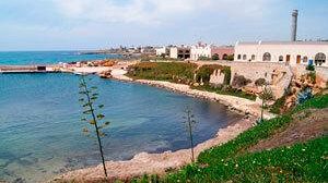 Ambiente, l’11 aprile, a Tre Fontane e Torretta Granitola, due eventi Fidapa 