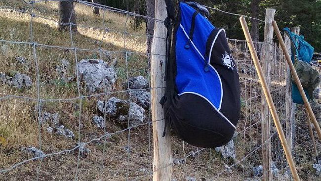 Riforma Forestale, ora o mai più. Per Antonio David questo è l’ultimo treno per i lavoratori