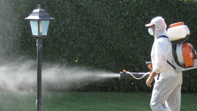 Erice, da domani l’avvio del servizio di disinfestazione anti zanzare ed altri insetti infestanti